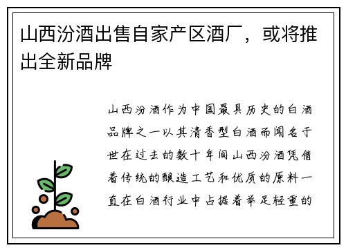 山西汾酒出售自家产区酒厂，或将推出全新品牌
